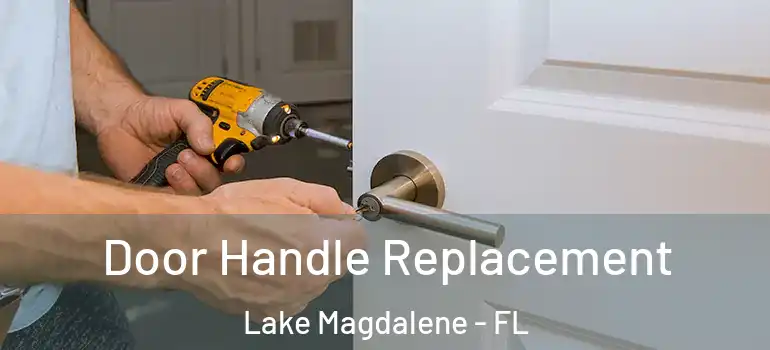  Door Handle Replacement Lake Magdalene - FL