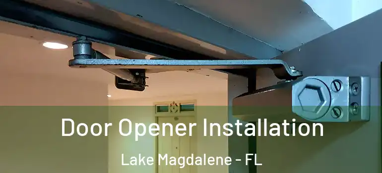  Door Opener Installation Lake Magdalene - FL