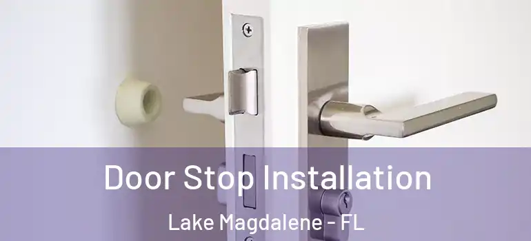  Door Stop Installation Lake Magdalene - FL