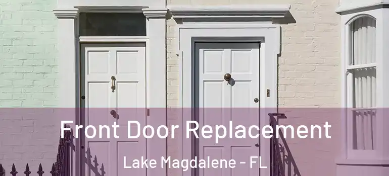  Front Door Replacement Lake Magdalene - FL
