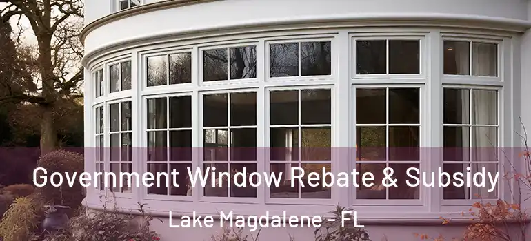  Government Window Rebate & Subsidy Lake Magdalene - FL