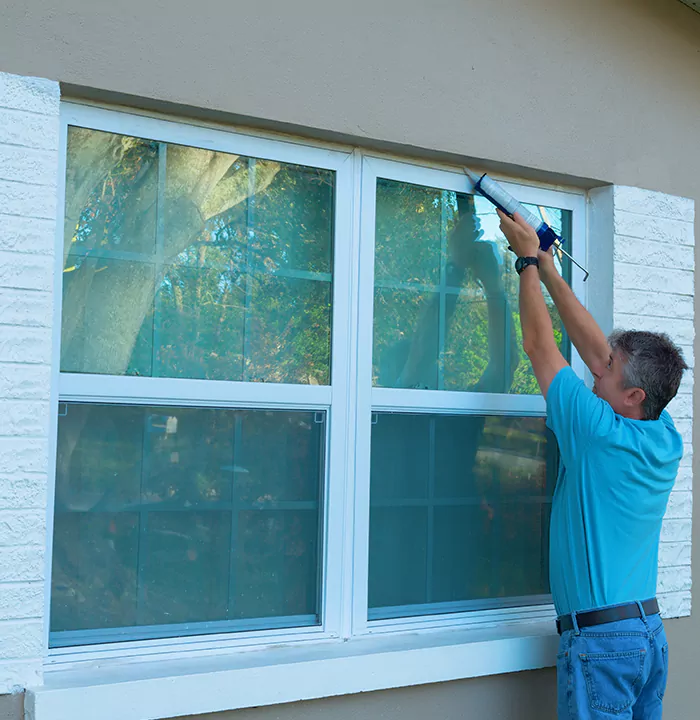 Modern Windows in Lake Magdalene, FL