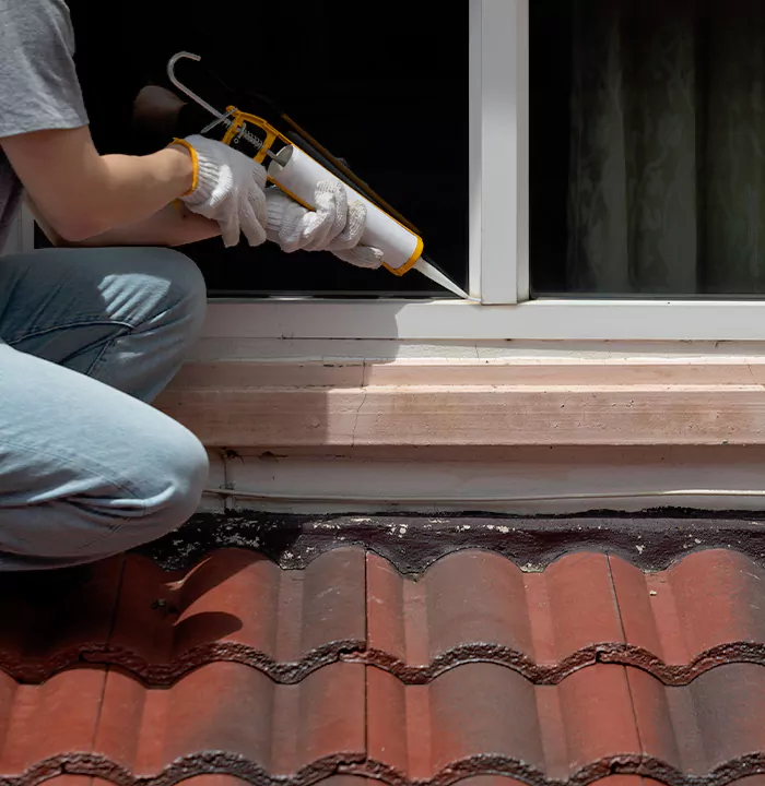 Roof Window Services in Lake Magdalene, Florida