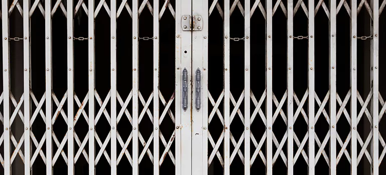 Steel Line Garage Door Repairs in Lake Magdalene, FL