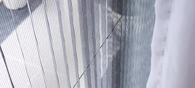 Fixing Screen Window Mesh in Lake Magdalene, FL