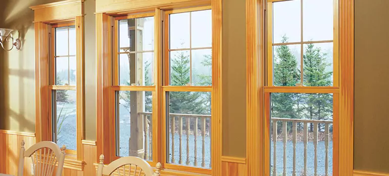 Government Incentives For Replacement Windows in Lake Magdalene, FL