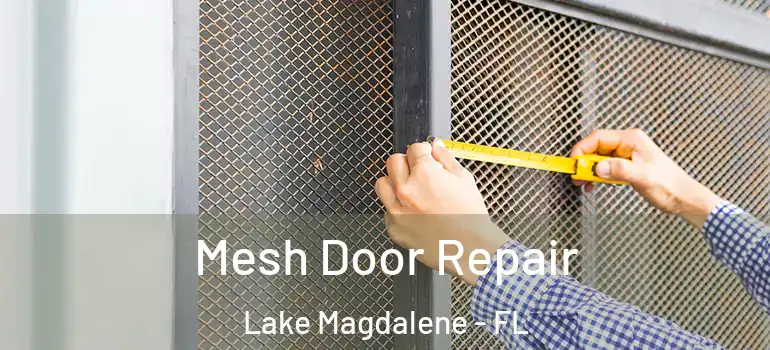  Mesh Door Repair Lake Magdalene - FL