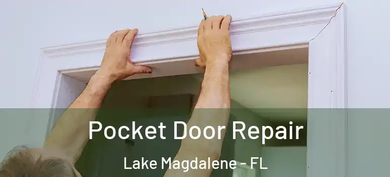  Pocket Door Repair Lake Magdalene - FL