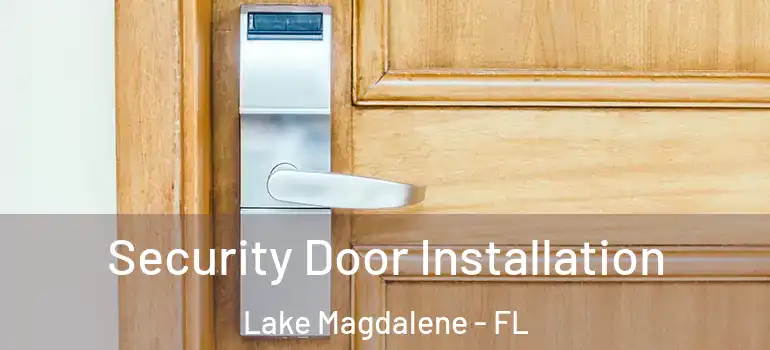  Security Door Installation Lake Magdalene - FL