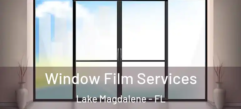  Window Film Services Lake Magdalene - FL