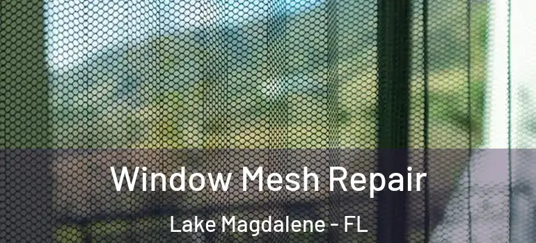  Window Mesh Repair Lake Magdalene - FL