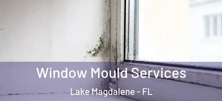  Window Mould Services Lake Magdalene - FL